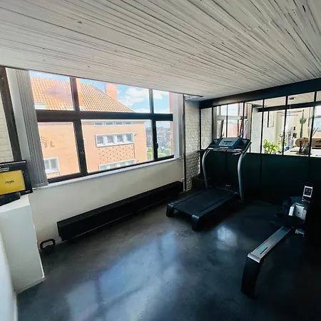 Loft Duplex And Rooftop Apartment Roubaix