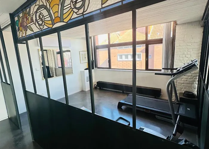 Loft Duplex And Rooftop Roubaix