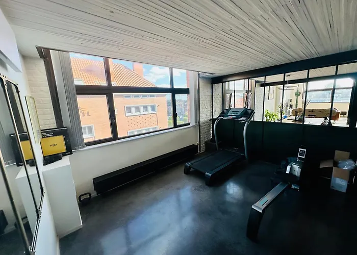 Loft Duplex And Rooftop Apartment Roubaix